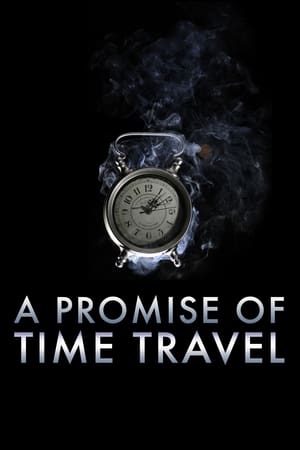 A Promise of Time Travel 2016 Hindi Dual Audio | Hindi Dubbed Movie Web-DL 300MB