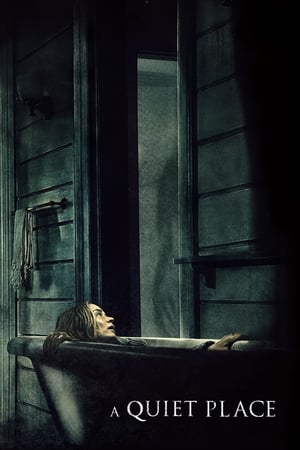 A Quiet Place 2018 Hindi Dual Audio | Hindi Dubbed Movie BluRay [800MB]
