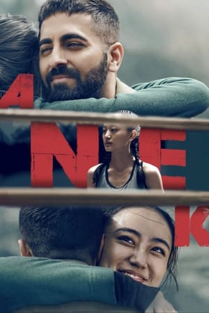 Anek 2022 Hindi Movie HDRip | Hindi Dubbed Movie – 480p
