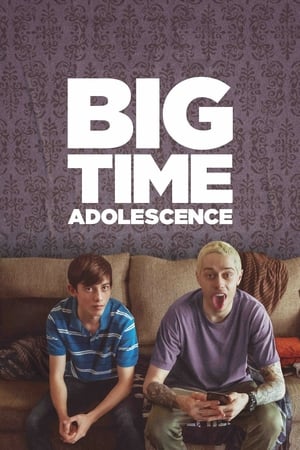 Big Time Adolescence (2019) Hindi Dual Audio HDRip | Hindi Dubbed Movie – 480p