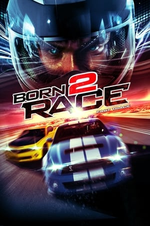 Born to Race Fast Track 2014 Hindi Dual Audio | Hindi Dubbed Movie BluRay 320MB