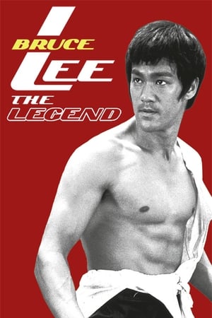 Bruce Lee the Legend 1984 Hindi Dual Audio | Hindi Dubbed Movie HDTVRip 300MB