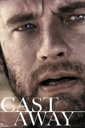 Cast Away 2000 Hindi Dual Audio | Hindi Dubbed Movie BluRay 450MB