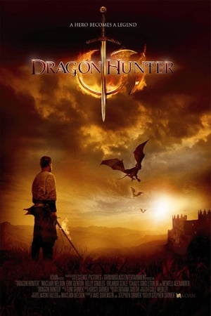 Dragon Hunter (2009) Hindi Dual Audio | Hindi Dubbed Movie BluRay 300MB
