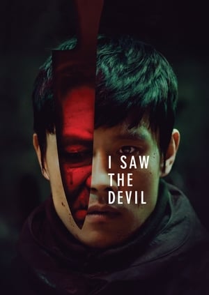 I Saw the Devil 2010 Hindi Dual Audio HDRip | Hindi Dubbed Movie – 480p