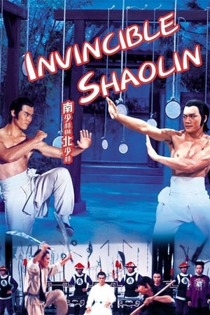 Invincible Shaolin 1978 Hindi Dual Audio | Hindi Dubbed Movie BluRay 300MB