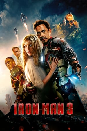 Iron Man 3 (2013) Hindi Dual Audio | Hindi Dubbed Movie BluRay 300MB