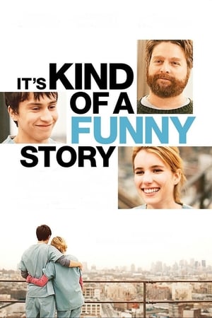 Its Kind of a Funny Story 2010 Hindi Dual Audio | Hindi Dubbed Movie BluRay 330MB