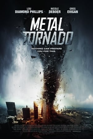Metal Tornado 2011 Hindi Dual Audio | Hindi Dubbed Movie BluRay 300MB