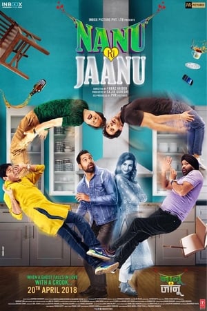 Nanu Ki Jaanu (2018) Movie | Hindi Dubbed Movie HDRip – [400MB]