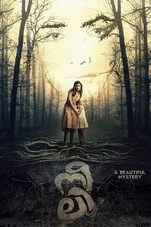 Neeli (2018) (Hindi – Malayalam) Dual Audio | Hindi Dubbed Movie UnCut HDRip 400MB