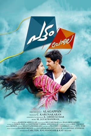 Pattam Pole (2013) (Hindi – Malayalam) Dual Audio | Hindi Dubbed Movie UnCut HDRip 400MB