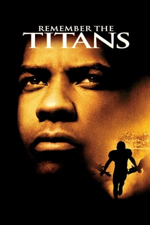 Remember the Titans (2000) Hindi Dual Audio | Hindi Dubbed Movie BluRay 400MB