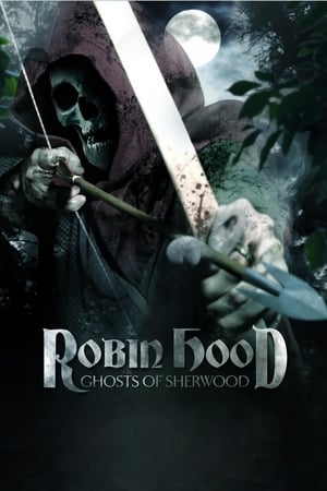 Robin Hood: Ghosts of Sherwood (2012) Hindi Dual Audio | Hindi Dubbed Movie BluRay 350MB