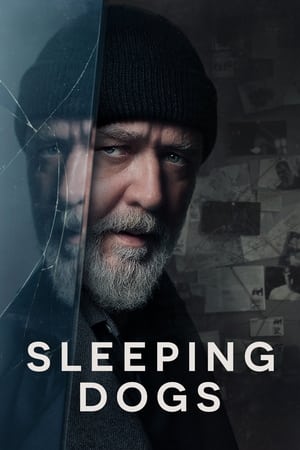 Sleeping Dogs (2024) Hindi Dual Audio HDRip | Hindi Dubbed Movie – 720p – 480p