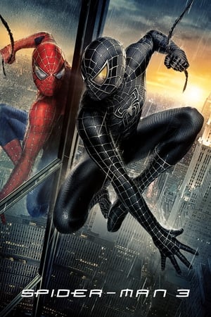 Spider-Man 3 (2007) Hindi Dual Audio | Hindi Dubbed Movie BluRay 300MB