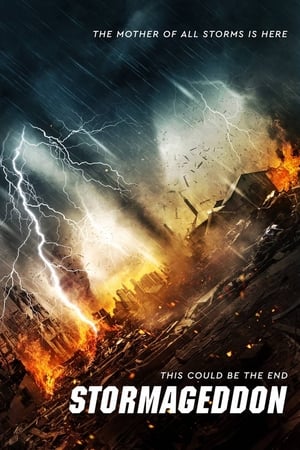 Stormageddon (2015) Hindi Dual Audio | Hindi Dubbed Movie BluRay 290MB