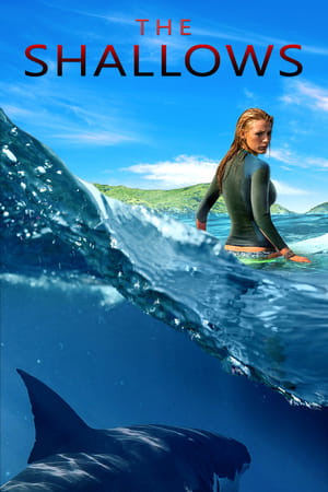 The Shallows 2016 Dual Audio (Hindi) | Hindi Dubbed Movie [1GB]