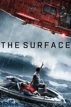 The Surface (2014) Hindi Dual Audio | Hindi Dubbed Movie Web-DL 300MB