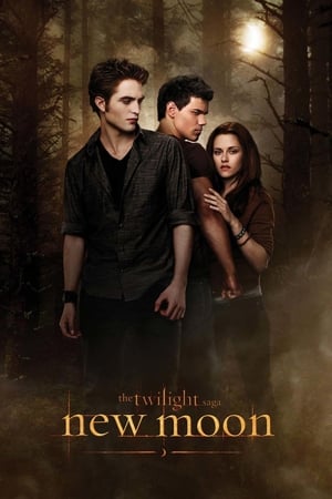 The Twilight Saga New Moon (2009) Hindi Dual Audio Bluray | Hindi Dubbed Movie [1.0GB] Download