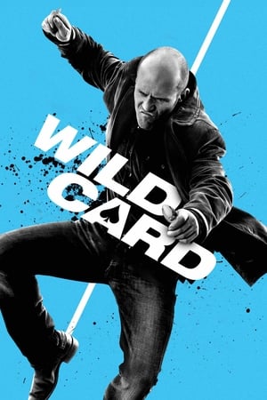 Wild Card (2015) Hindi Dual Audio HDRip | Hindi Dubbed Movie – 480p